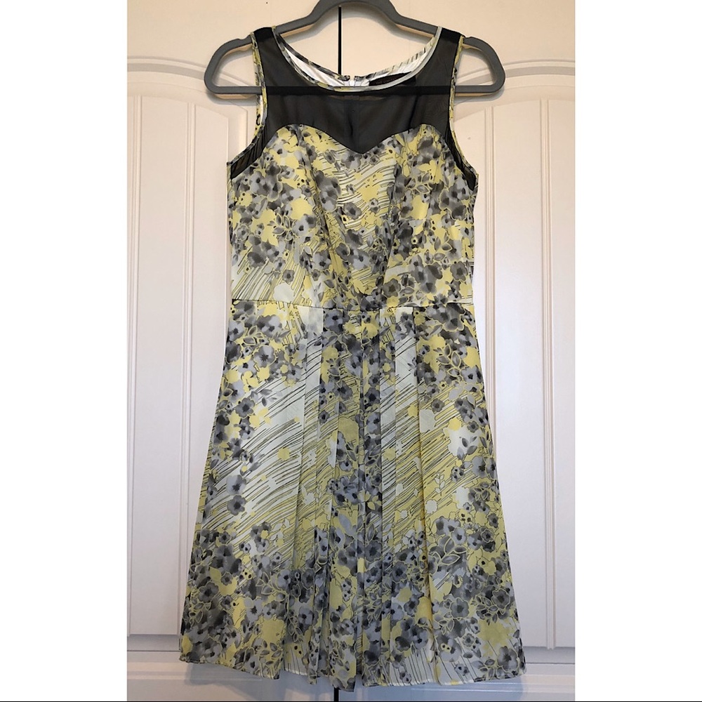 The Limited Floral Sleeveless Dress